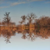 Тишина :: Валерий Ткаченко