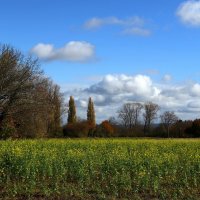 Ноябрьский день :: Юрий. Шмаков