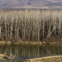 Река Кубань :: Игорь Сикорский