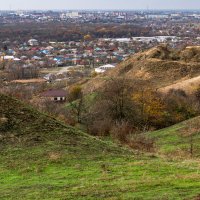 Армавир, в ноябре :: Игорь Сикорский