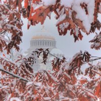 *** :: Сергей Григорьев