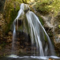 Природа Крыма :: Amazing Cosmea