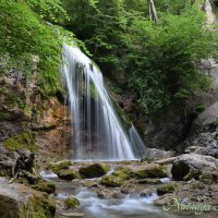 Природа Крыма :: Amazing Cosmea