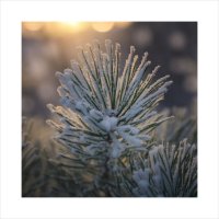 * :: Александр Иванов