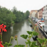 Дождь- это воздух с прослойкой воды :: Маргарита Б