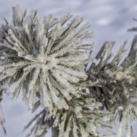 Зима :: Виктор Иванович Чернюк