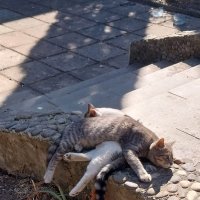 Тихий час :: Маргарита Б