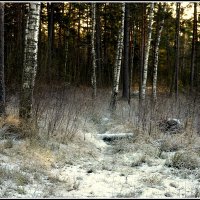 Первый снег :: Aleksandr Gal