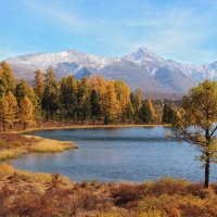 Жемчужинка Улагана :: елена беликова