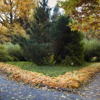 Осень в ботаническом саду. :: Лилия *