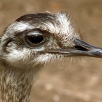 Вперёдсмотрящий :: Юрий. Шмаков