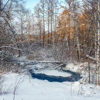 ***** :: Алексей Мезенцев