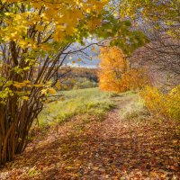 Октябрь в Царицыно... :: Владимир Жданов