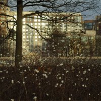 предчувствие скорого снега :: sv.kaschuk 