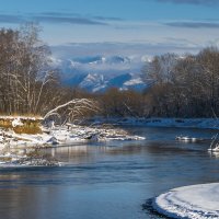 ... :: Жора Житников