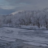 ... :: Жора Житников