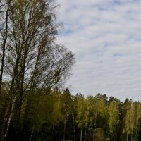 МИХАЙЛОВСКОЕ. :: Виктор Осипчук