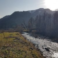 АБХАЗИЯ :: Tata Wolf