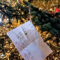 Заказы Рождественскому деду :: Veera V