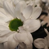 ,,, :: Сергей Тимоновский