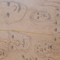 Сосна рисует - лики и характеры (ч.2) :: Валерий Кокорев