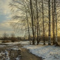 Начало дня. :: Николай