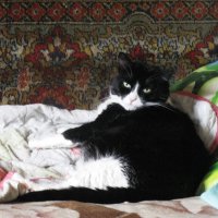 Я проснулся, но так не хочется вставать :: Людмила Смородинская