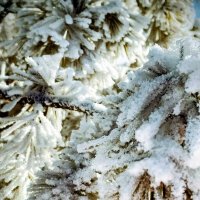 Снега,гор... :: Георгиевич