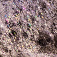 В макро видение :: Георгий А