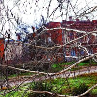 Берёзка :: Юрий Гайворонскiий