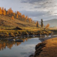 Отражение :: Sergey38 