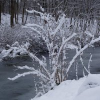 Снежный ноябрь :: Рита Симонова