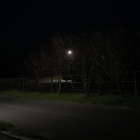 Свет на рассвете :: М С