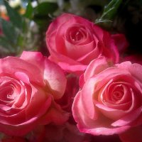 Букет роз :: Елена Семигина