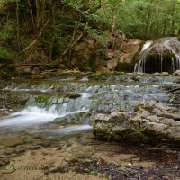 Природа Крыма :: Amazing Cosmea