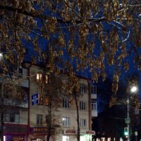 *** :: Валентина Береснева