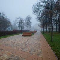 Туманная аллея :: Александр Синдерёв