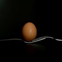 Минималистическое яйцо :: Галина 