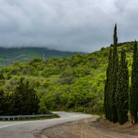 Дорога. :: Сергей Воротников