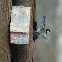 Трудные времена настают... :: Владимир Безбородов