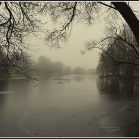 пришел туман.... :: Aleksandr Gal