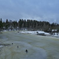 Первый календарный день зимы :: Борис Устюжанин