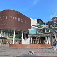 На улицах Сочи :: Виктор 