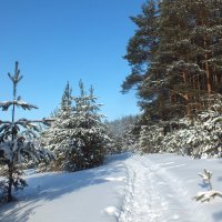 *** :: Зоя Мишина