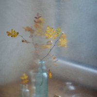 Осенний... :: Liliya 