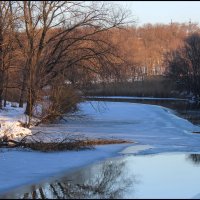 Темерник. :: Александр 