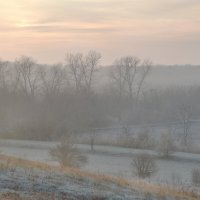 Осеннее утро...туманно-задумчивое... :: Надежда Куркина 