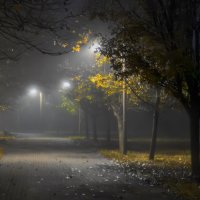 Туман :: Игорь Протасов