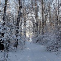 Снежная сказка!!! :: Радмир Арсеньев