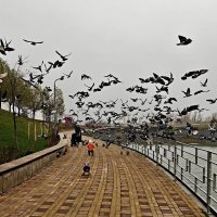 Ростовские зарисовки :: Александр Гапоненко